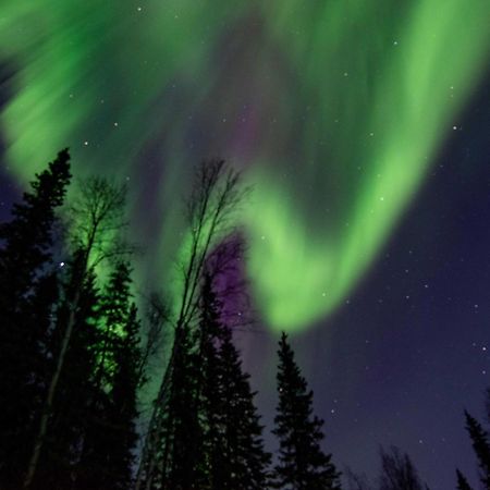 Riverside Log Cabin On-Site Aurora Viewing! North Pole Екстериор снимка