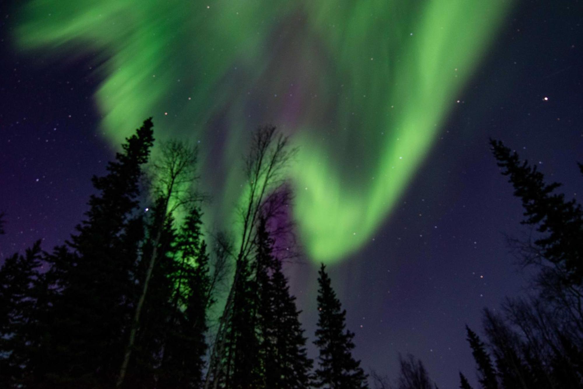 Riverside Log Cabin On-Site Aurora Viewing! North Pole Екстериор снимка
