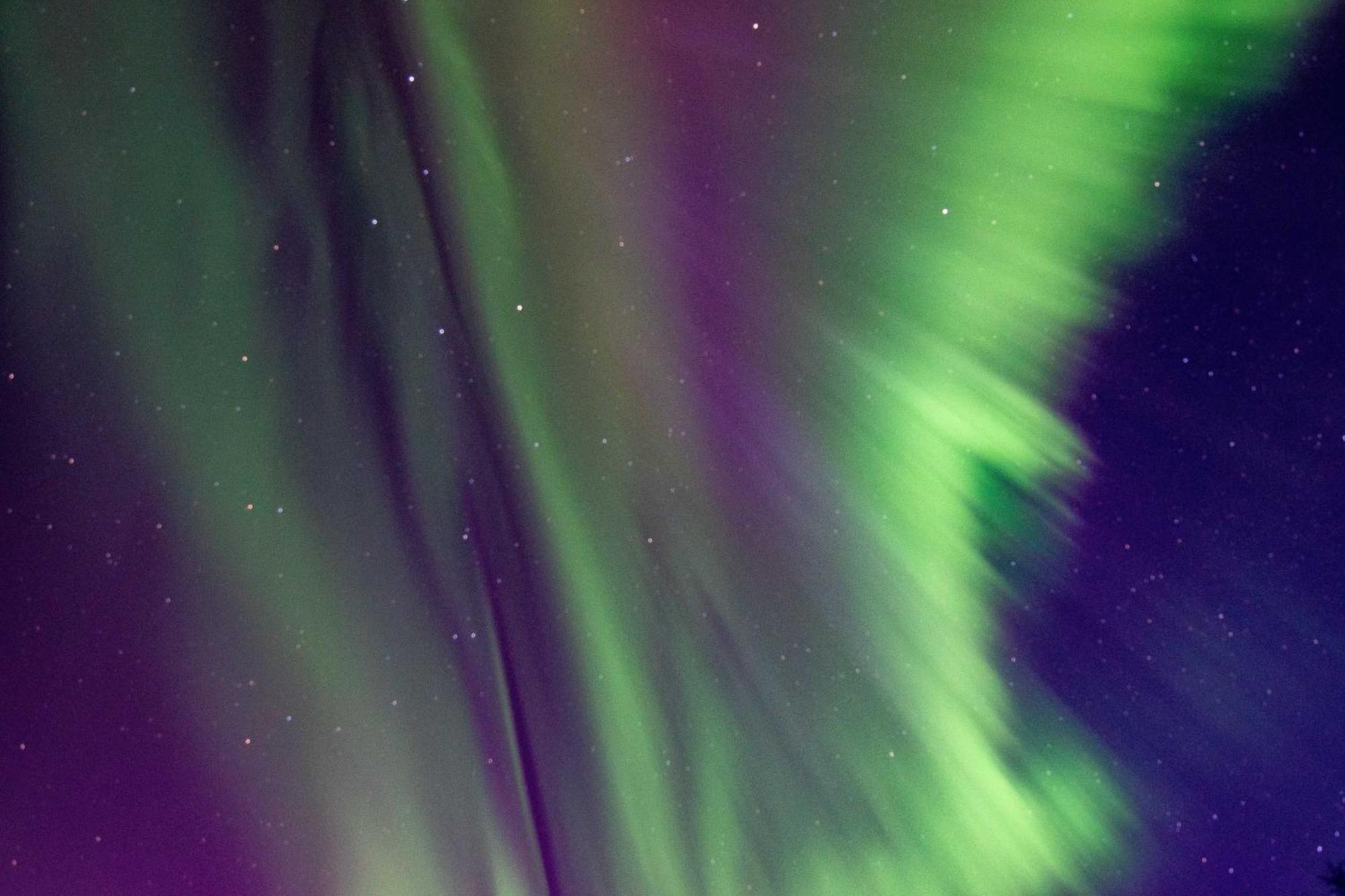 Riverside Log Cabin On-Site Aurora Viewing! North Pole Екстериор снимка